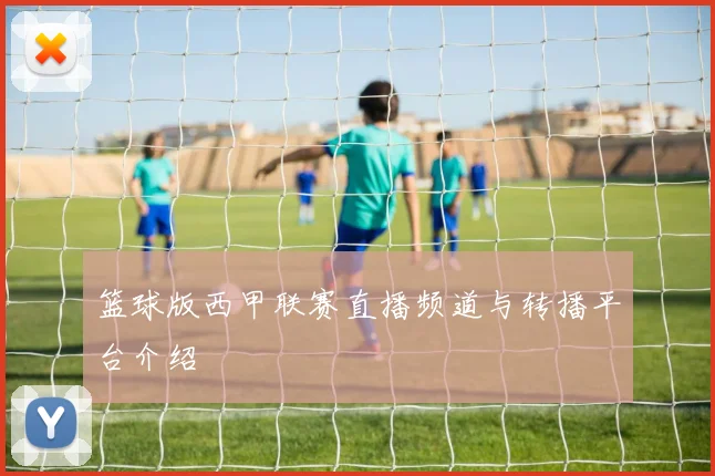 篮球版西甲联赛直播频道与转播平台介绍