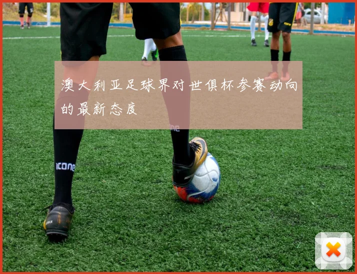 澳大利亚足球界对世俱杯参赛动向的最新态度