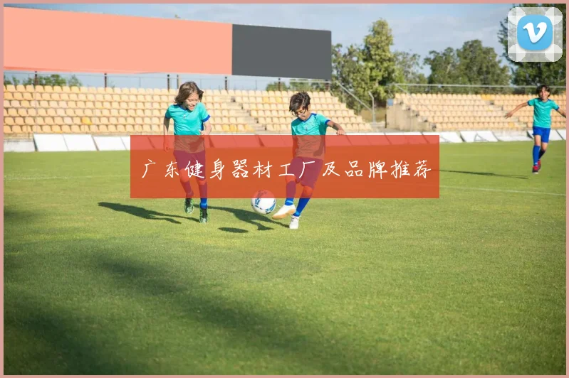 广东健身器材工厂及品牌推荐