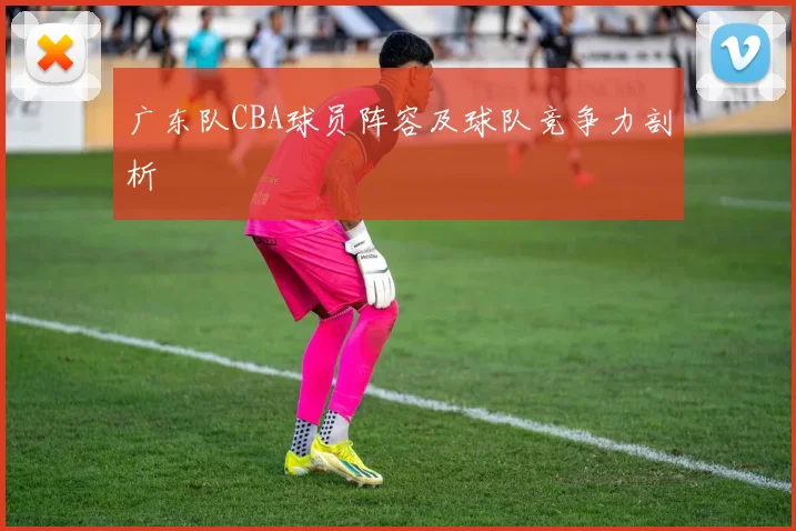 广东队CBA球员阵容及球队竞争力剖析