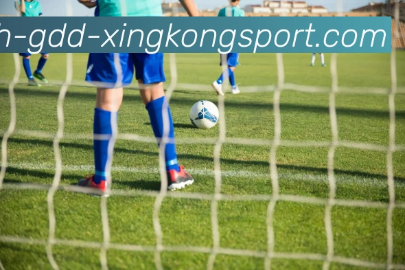 星空体育平台生态图