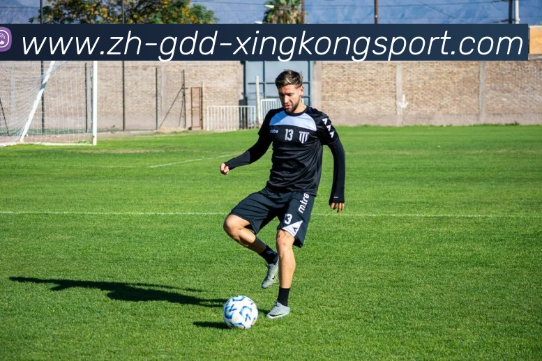 星空体育APP 封面图